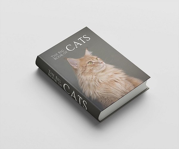 Livro Caixa The Book Of Cats M (25x17x4cm)