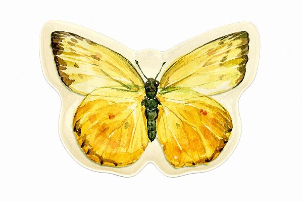 Prato Em Melamina Formato Borboleta - Entrecasa