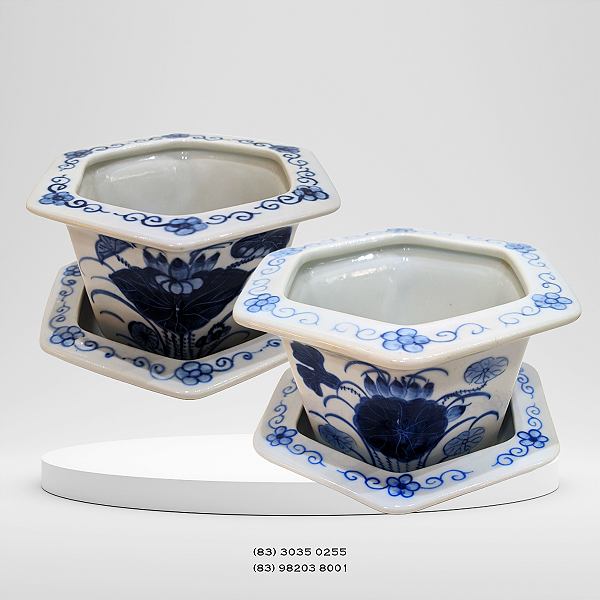 Par de Vasos de flores hexagonais tailandeses pintados à mão