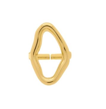 Anel orgânico vazado