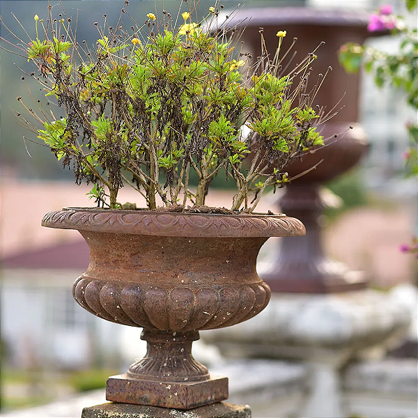 Ânfora Pequena sem alça