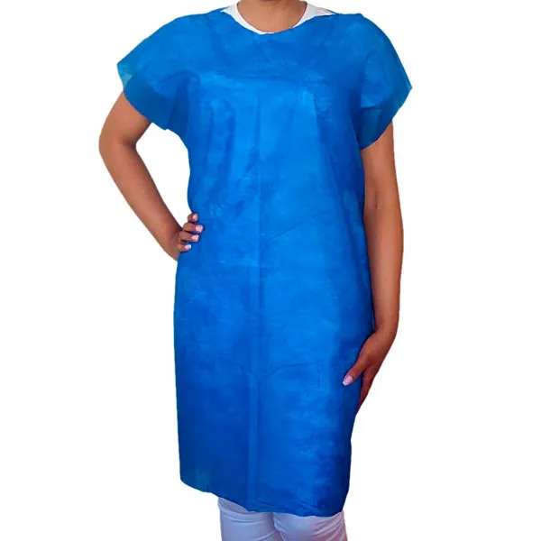 Avental Descartavel 40g Sem Manga Azul 10 Unidades - Dmi Descartaveis