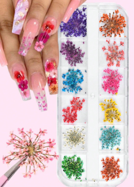 Flor seca colorida P