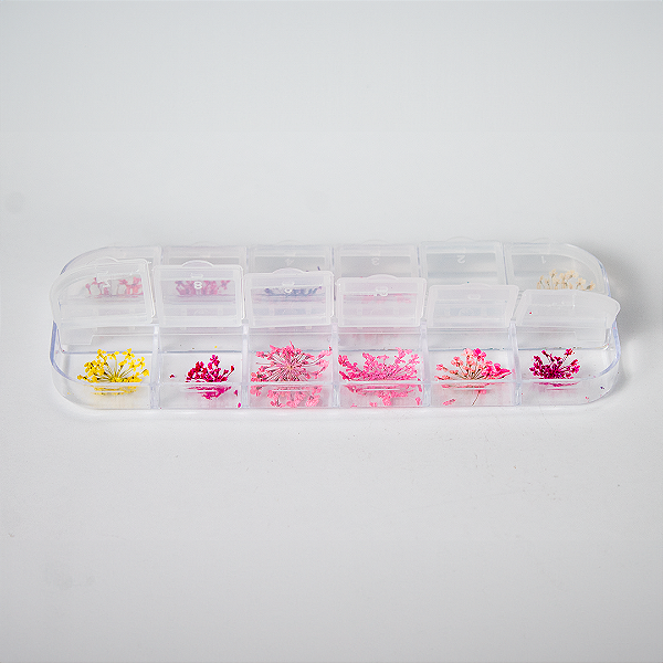 Flor seca colorida P