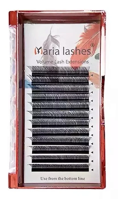 Y (M) Maria Sacha