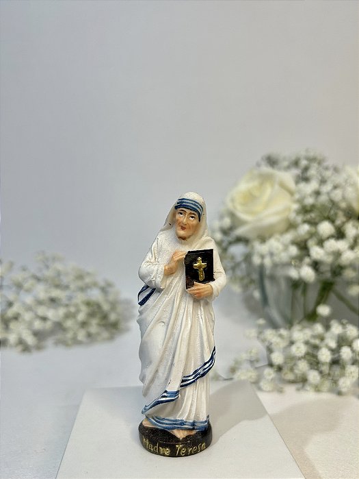 Santa Madre Teresa de Calcutá