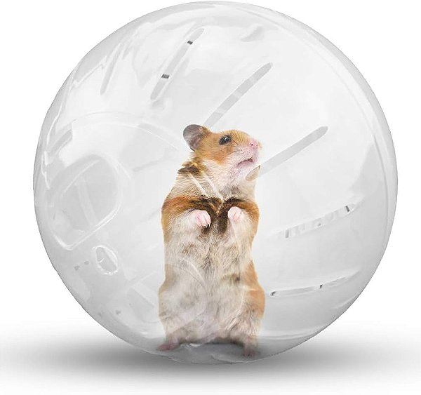 Hamster Ball