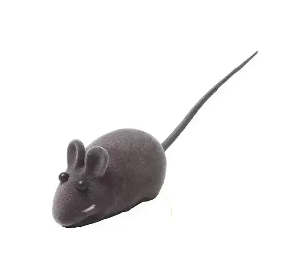 Ratinho para Gato