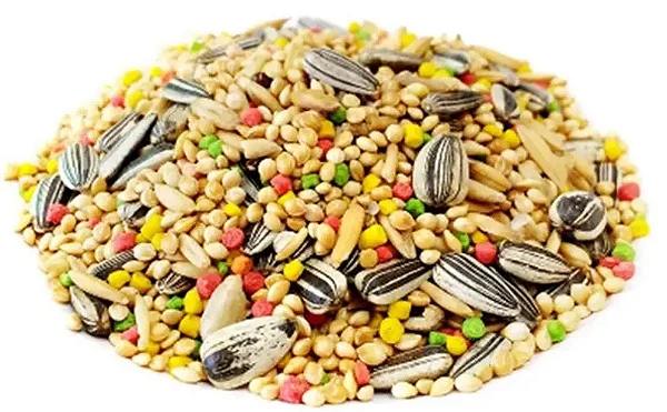 Mistura para Calopsita