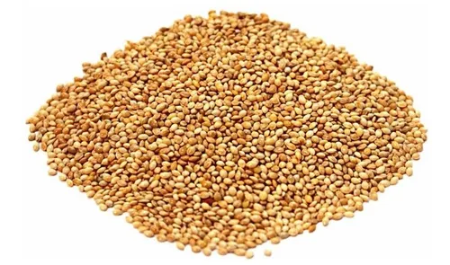 Pássaro Forte Painço 500g