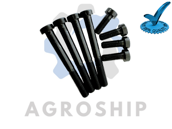 Kit Parafuso BW 40 Referência:(ZF 40)