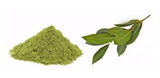 Folha de Louro em Pó