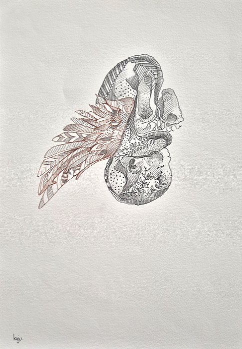 asas da vida | A4 | ilustração original