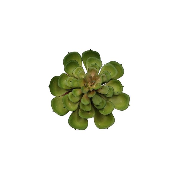 Planta Artificial p/ Terrário - 001