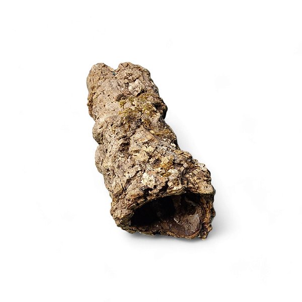 Cork Bark - Tubo | N° 2