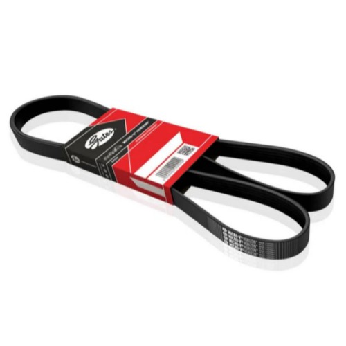 Correia Motor 8PK1538
