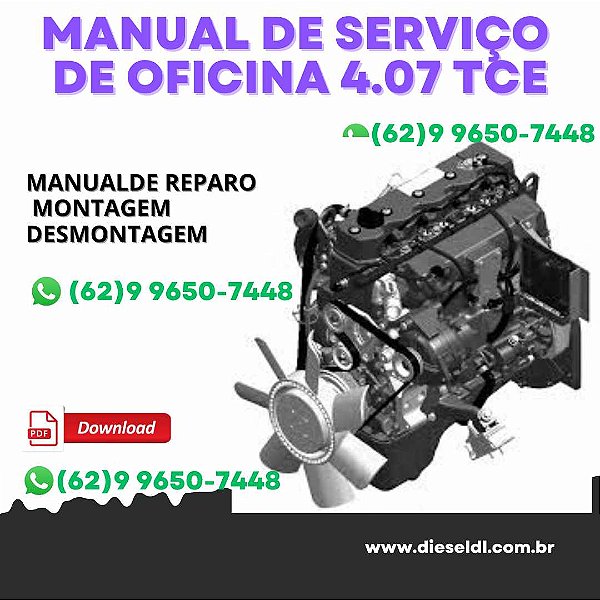 MANUAL DE SERVIÇO DE OFICINA MOTOR  SPRINT ELETRÔNICO  407TCE 607TCE MWM