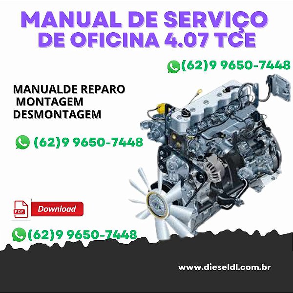 MANUAL DE SERVIÇO DE OFICINA   MOTORES SPRINT 4.07 TCE / 4.08 TCE  MWM