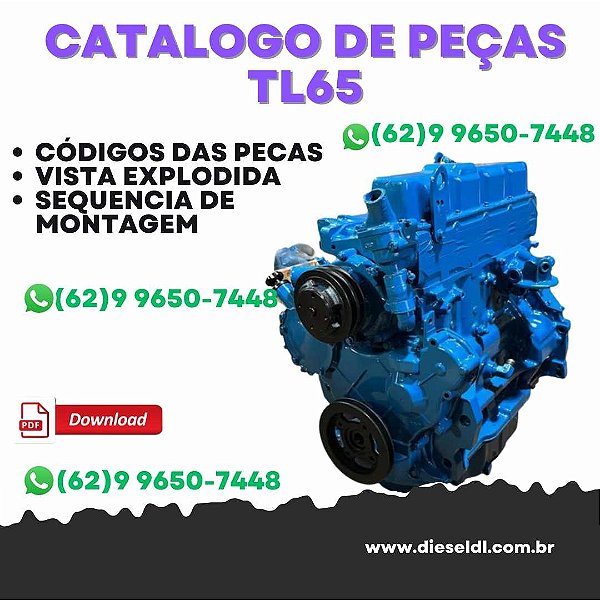 CATÁLOGO DE PEÇAS  MOTOR  TL65 TL70 TL80 TL90 TL100 FORD