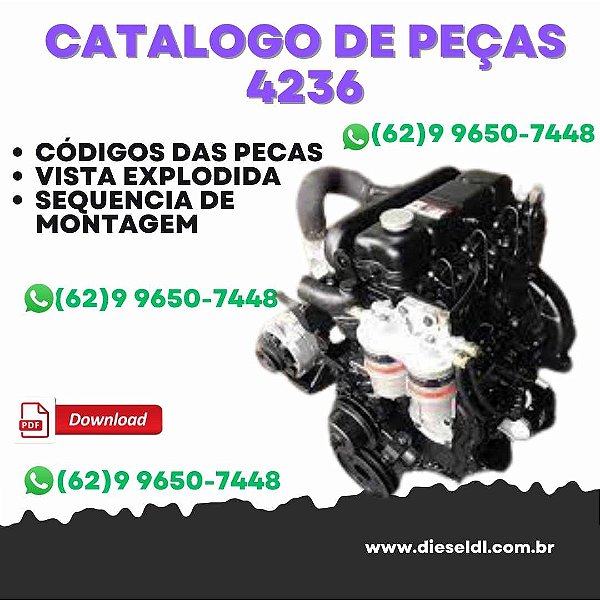 CATÁLOGO DE PEÇAS  MOTOR 4236 T4236 4248 MAXION