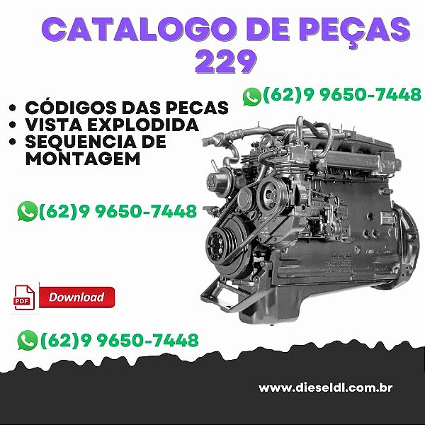 CATÁLOGO DE PEÇAS MOTOR SERIE 229 MWM