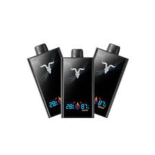 IGNITE V300 – 30000 Puffs – Pod Descartável