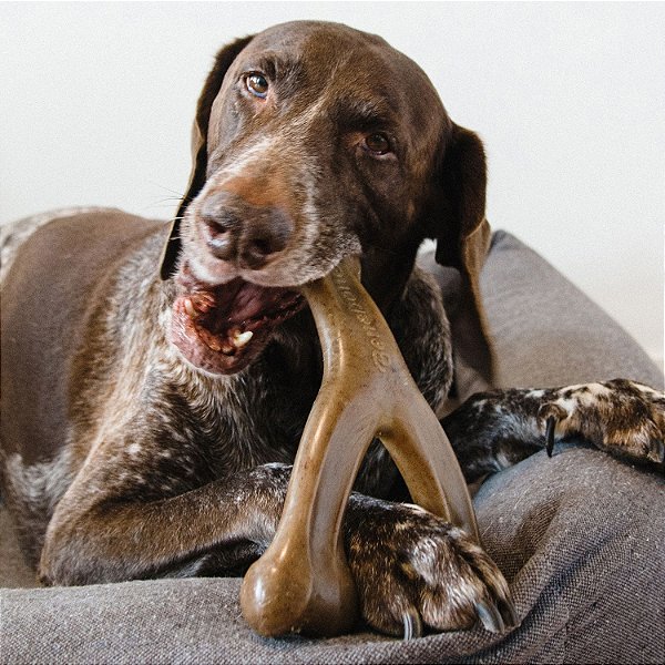 Brinquedo de Roer Benebone wishbone bacon G - Benebone