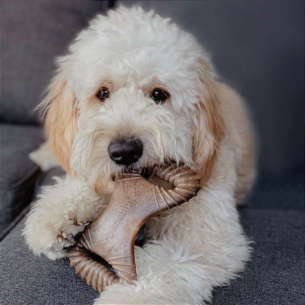 Brinquedo de Roer Benebone Dental Chew Bacon P - Benebone