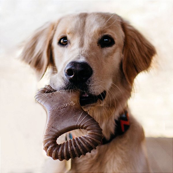Brinquedo de Roer Benebone Dental Chew Bacon G - Benebone