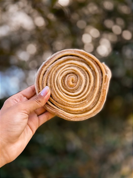 Mordedor natural - Discão - Couro bovino desidratado 1un - Pet Bem