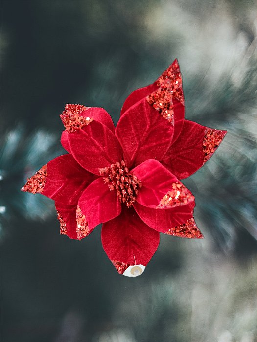 Flor de Natal Poinsetia Bordo 28X30CM
