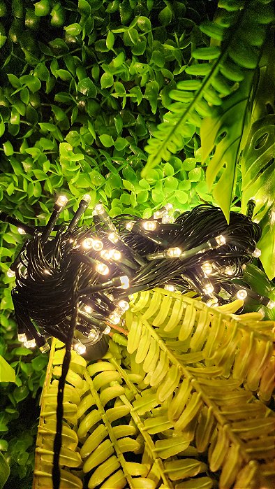 Pisca Led 10 metros 100 Lâmpadas