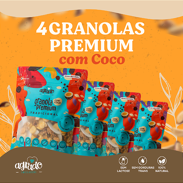 Combo Promocional 4 pacotes Granola Premium Com Coco - 400g