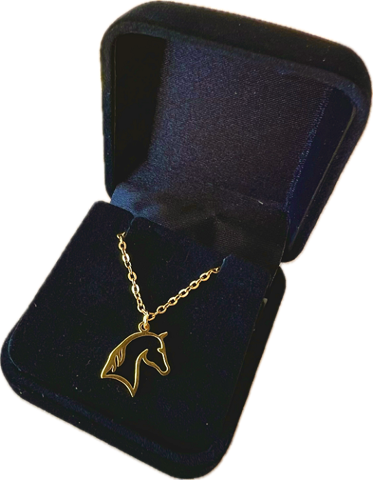 Corrente com Pingente de Cabeça de Cavalo, em aço inox, e folhada a ouro 18k