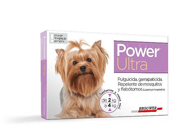 POWER ULTRA 2 A 4 KG PROT 6 SEMANAS DOZE UNICA