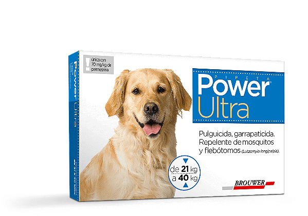 POWER ULTRA 21 A 40 KG /PROT 6 SEMANAS DOZE UNICA