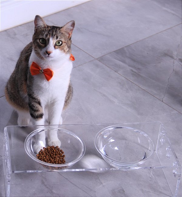 Comedouro Cachorro e Gato Compartimento Duplo M 425ml Acrílico 44cm Acripet House