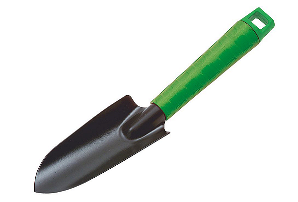 Pazinha Larga