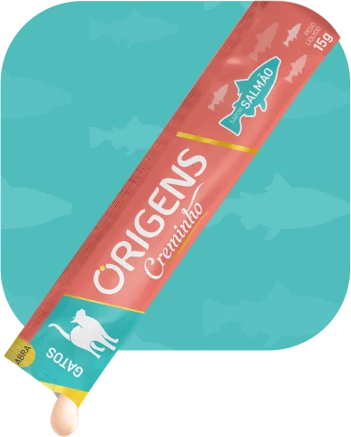ORIGENS CREMINHO SALMAO