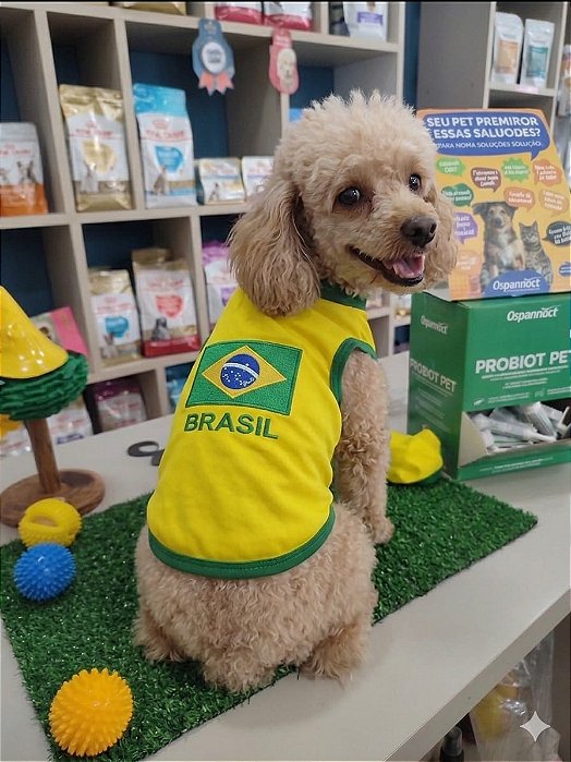 RUPINHA COPA- TAMANHOS 10, 8 E 2 - A PARTIR DE R$ 35,90