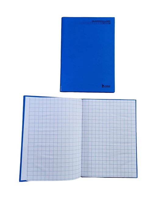 BROCHURA C.D.XADREZ PEDAGOGICO 1X1  96FLS TAMOIO 7897571920966  C/05