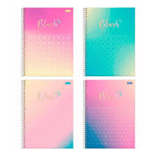 C.D.10 X 1 FORONI BLUSH C/ADESIVO 160FLS  7908077433116