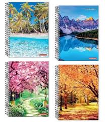 C.D.10 X 1 PANAMERICANA PAISAGEM 200FLS  7898285031207
