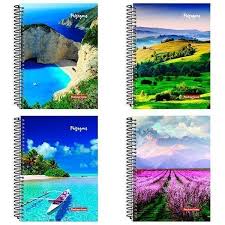C.D.15 X 1 PANAMERICANA PAISAGEM 300FLS  7898285031221