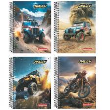 C.D.15 X 1 PANAMERICANA RALLY 300FLS  7898285035229