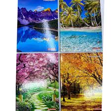 C.D.20 X 1 PANAMERICANA PAISAGEM 400FLS  7898285031238