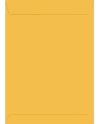 ENVELOPE SACO OURO OFICIO 24X34  80GRS C/100  7899264367584