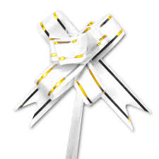 LAÇO FACIL 18MMX34CM BRANCO C/10  7898542901953