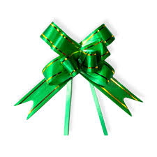 LAÇO FACIL 30MMX48CM VERDE C/10  7898542902332
