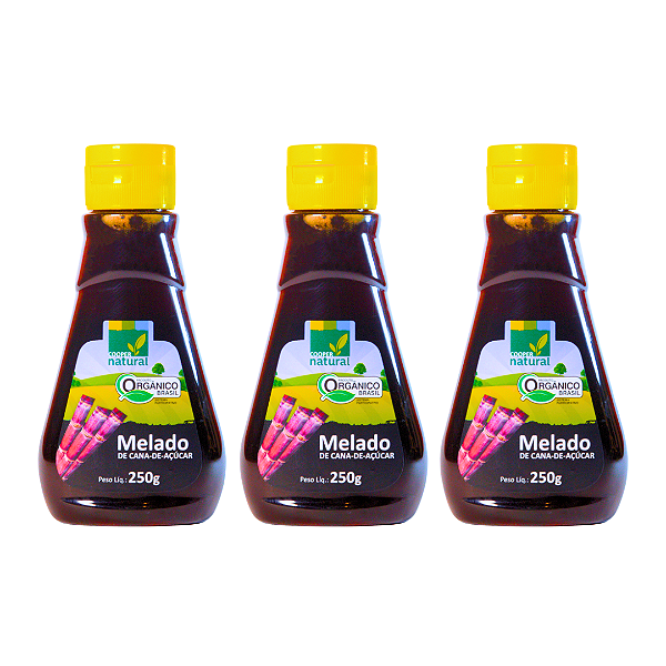 Kit 3 Melado Orgânico Coopernatural Bisnaga 250 g